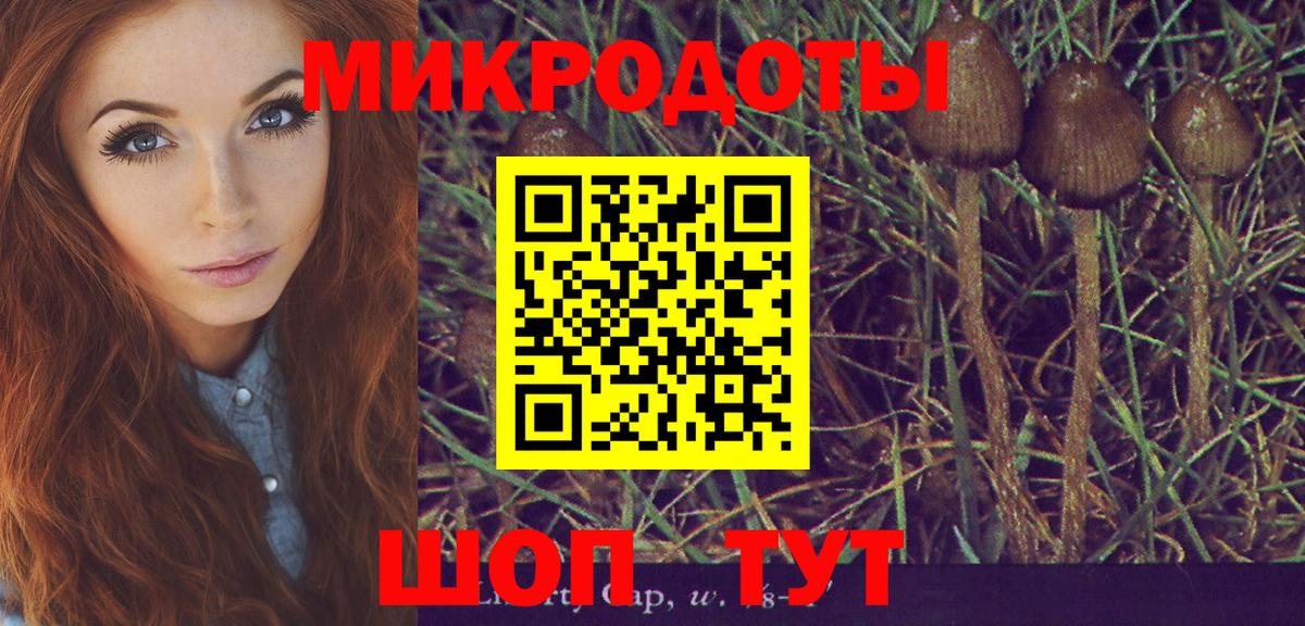 Галлюциногенные грибы Psilocybine cubensis  Вход с VPN  Галлюциногенные грибы Cubensis  Первоуральск 